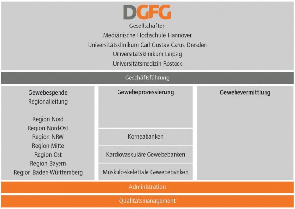 Das Organigramm der DGFG zeigt die Zusammenhänge zwischen Gewebespende, Gewebeprozessierung und Gewebevermittlung eingebettet in die gemeinnützige Gesellschaft.