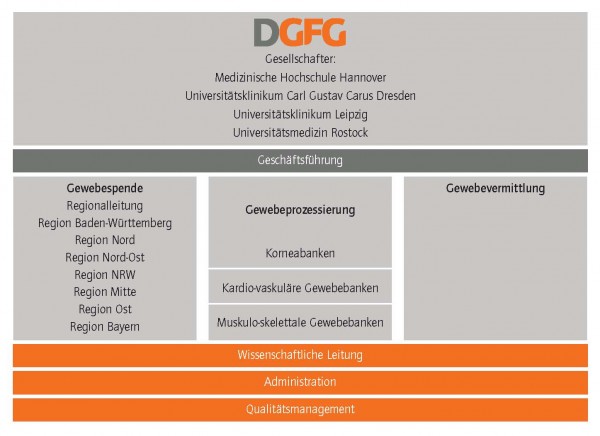 Das Unternehmen DGFG ist in allen Teilbereichen der Gewebemedizin tätig: Gewebespende, Gewebeprozessierung, Gewebevermittlung