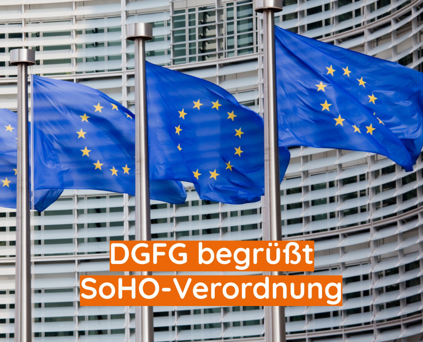 DGFG Begr t SoHO Verordnung